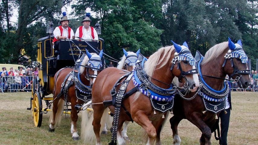 120 Pferde auf der Pferde- und Fohlenschau am Juravolksfest