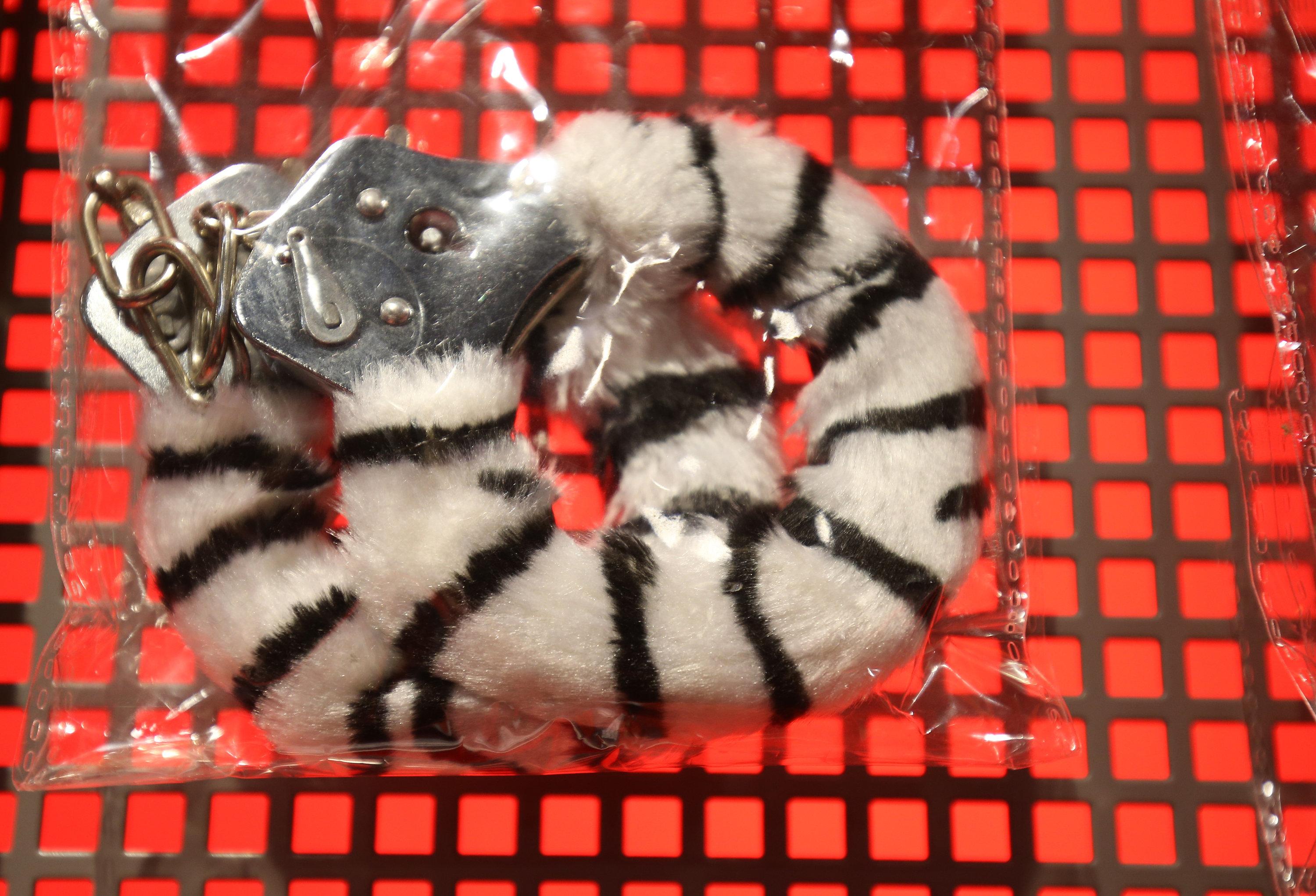 Auf welcher fränkischen Burg feiert die SadoMasoSzene?