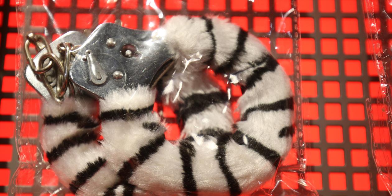 Auf welcher fränkischen Burg feiert die SadoMasoSzene?