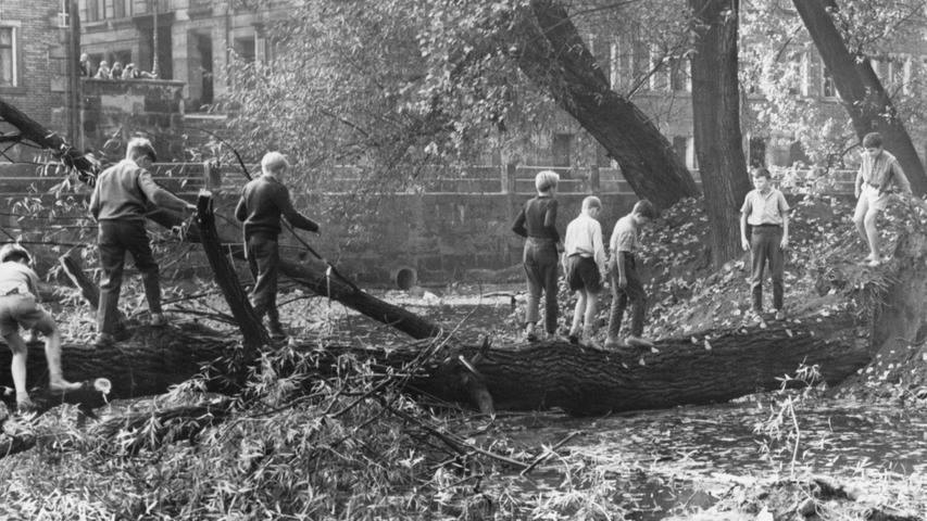 Kinder spielen im September 1961 an der Baldstaße im bereits leeren Flussbett der Pegnitz. Nachdem der Fluss verlegt wurde, gab die Erde nach und ließ die Bäume umstürzen.
