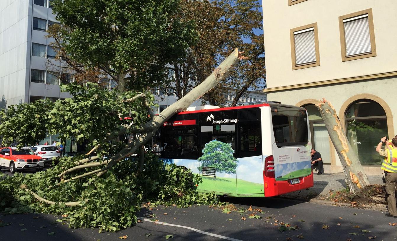 Verletzte: Bus rammt Bäume vor Bamberger Bahnhof Verletzte: Bus rammt Bäume vor Bamberger Bahnhof