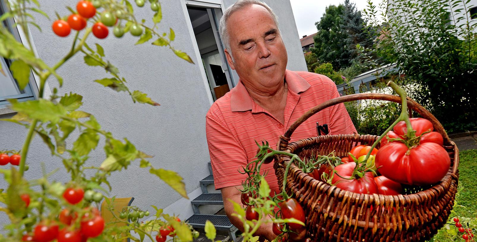 BH im Beet: Für die Riesentomate gab's Unterstützung BH im Beet: Für die Riesentomate gab's Unterstützung