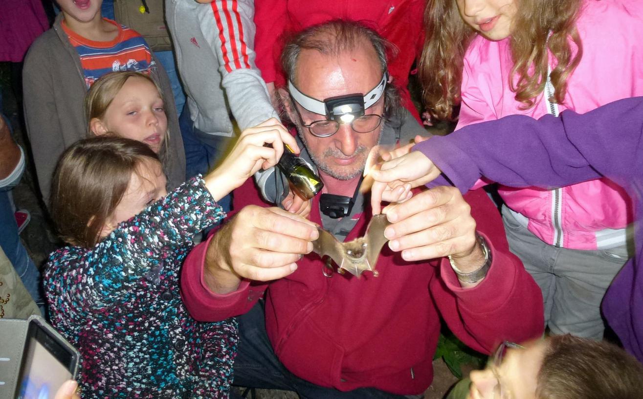 Johannes Mohr zeigt den Kindern eine echte Fledermaus, die ihm in sein Spezialnetz gegangen ist. Jeder, der will, darf das Tier streicheln.