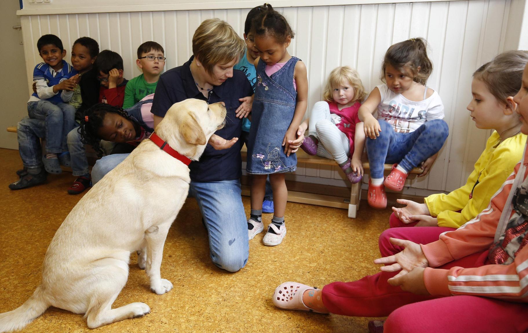 Im Kindergarten St. Anton ist Therapiehund Emma der Star | Nordbayern