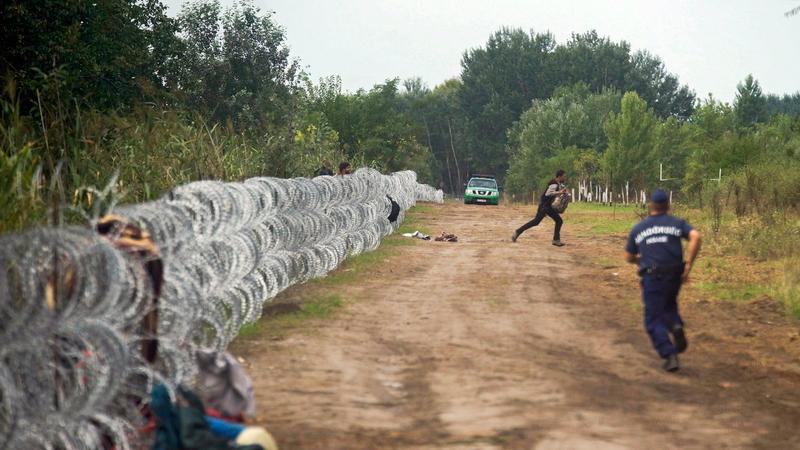 Ein Polizeibeamter jagt einen Flüchtling, der einen mit Stacheldraht gesicherten Grenzzaun zwischen Ungarn und Serbien unerlaubt überquert.