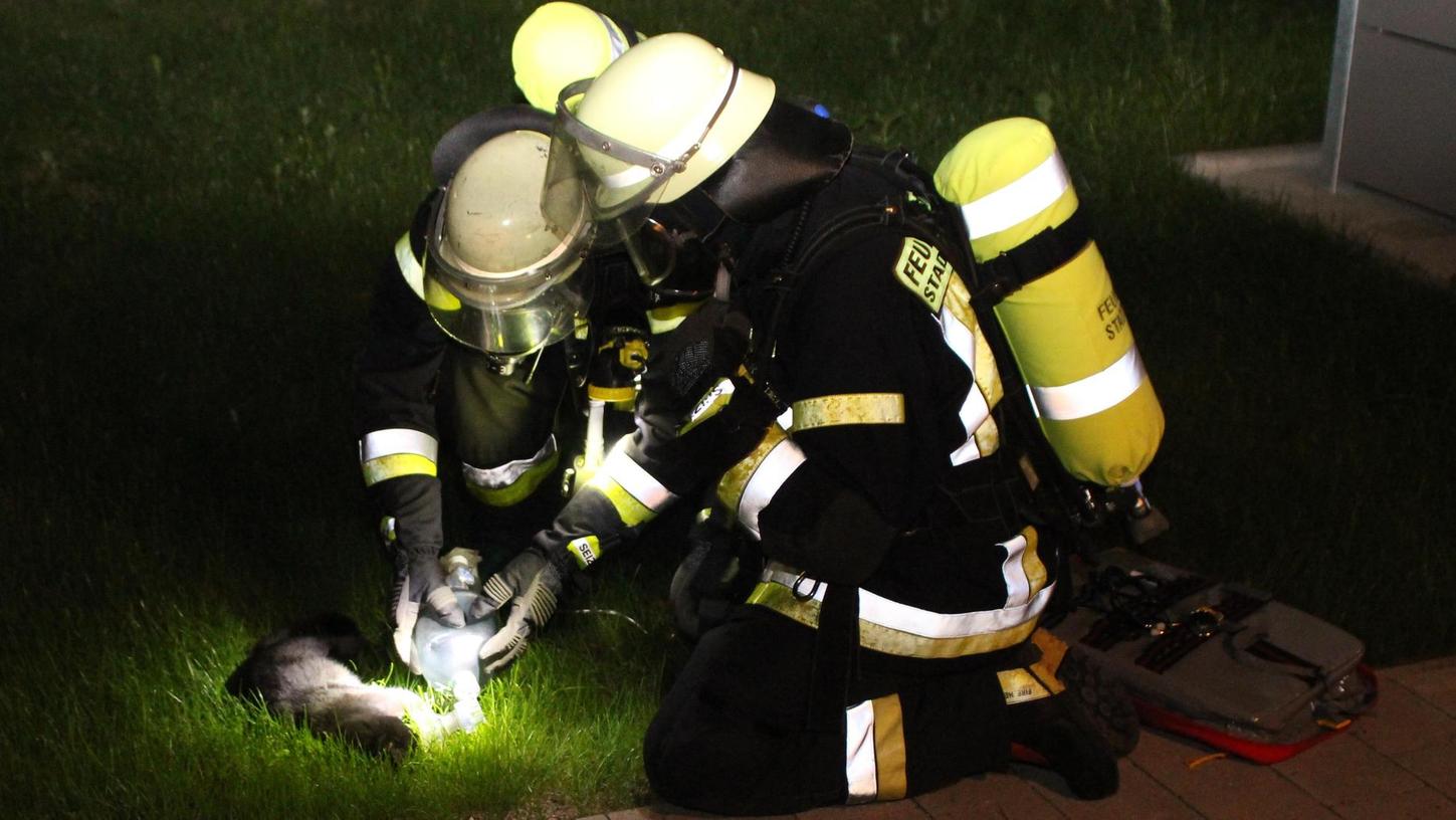 Feuerwehr versorgt Katze mit Sauerstoff