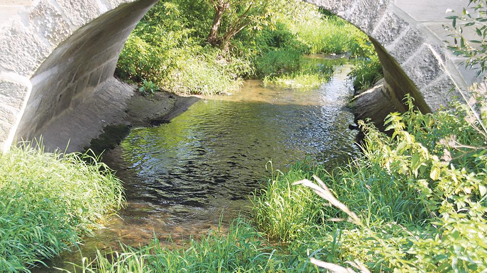Die Pegel sinken: Trockenheit setzt Flüssen und Bächen zu