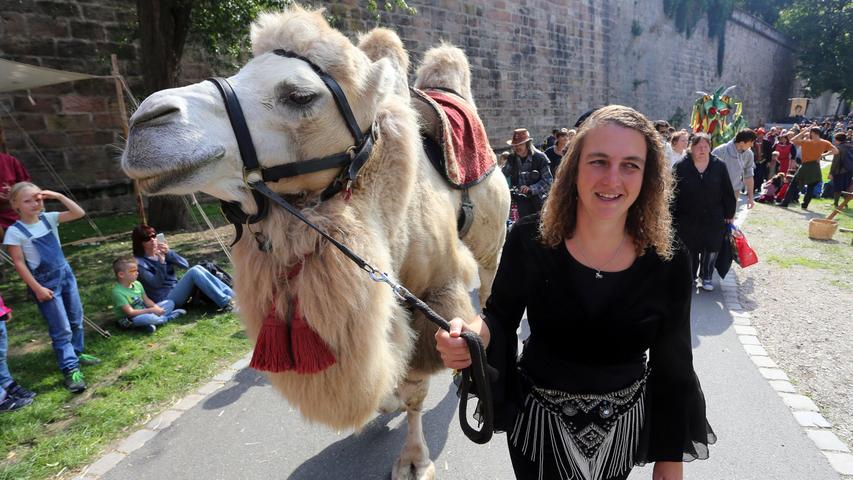 Ritter und ein Kamel: Das Burggrabenfest in Nürnberg