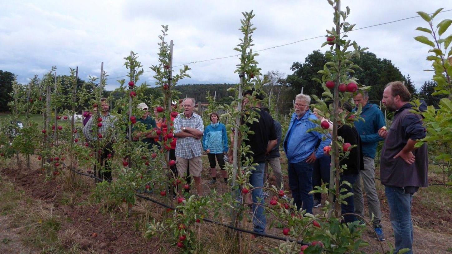 Landwirts-Familie Bub erntet Äpfel und Birnen in Bio-Qualität