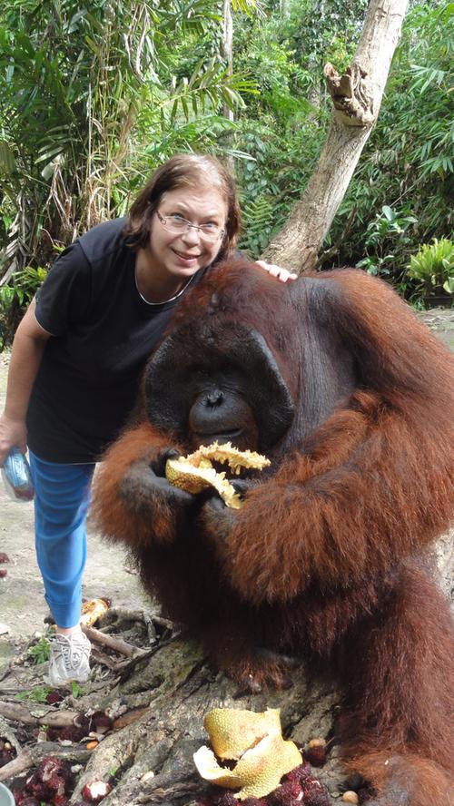 Nürnbergerin zieht Orang Utan auf und kämpft für Regenwald