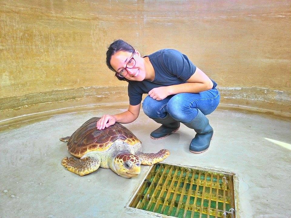 Hilpoltsteinerin Hat Auf Malta Ihr Herz An Schildkroten Verloren Hilpoltstein Nordbayern De