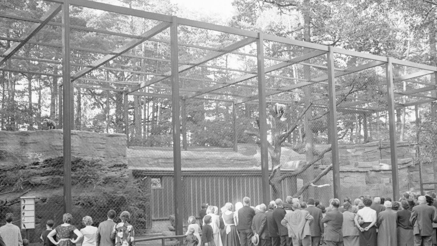 1. Oktober 1965: Der Adler im großen „Vogelbauer“