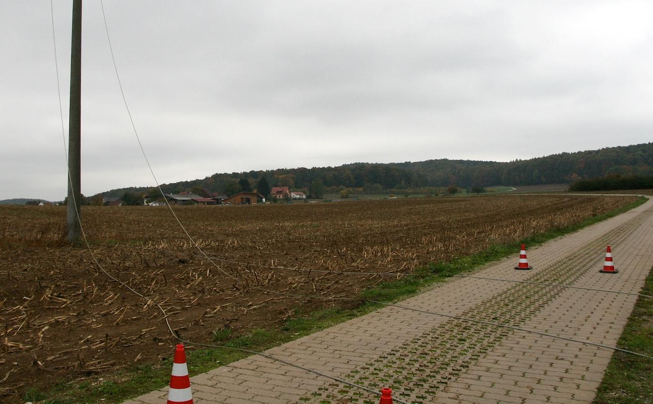 Am Samstagmorgen war bei pirvaten Baumfällarbeiten nahe Morschreuth ein Baum auf eine Stromleitung gefallen. Die Ortschaft war kurzzeitig ohne Strom.