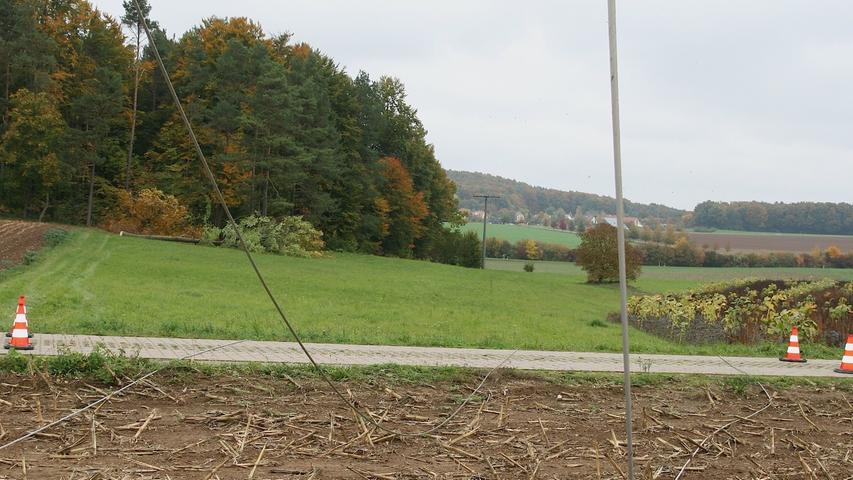 Baum fällt auf Leitung: Stromausfall in Morschreuth