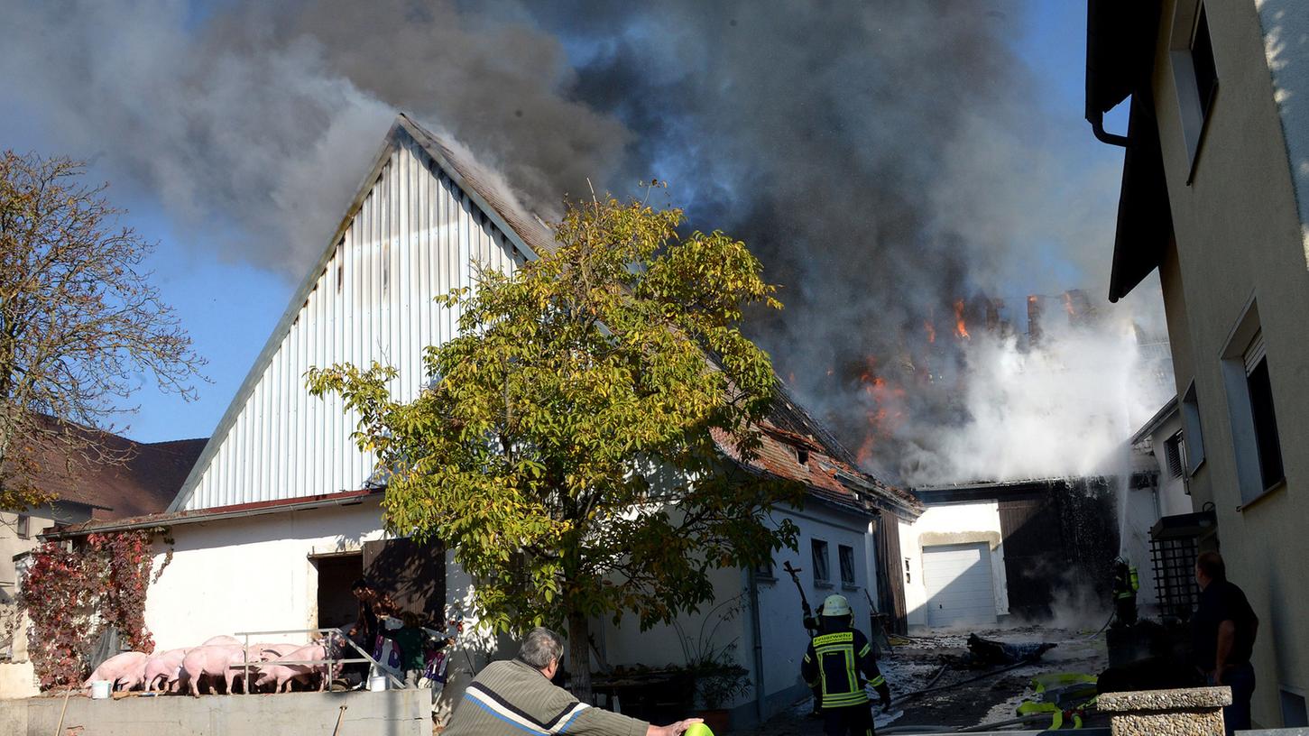 Zwei Schweineställe brannten in Beutelsdorf komplett nieder.