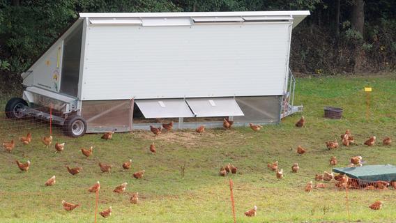 Das Hühnermobil: ökologisch, tiergerecht, hygienisch