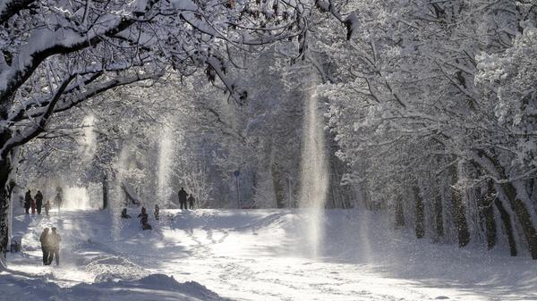 Trotzdem hatte der Winter - wie immer - auch seine schönen Seiten. Denn zahlreiche Plätze und Parks verwandelten sich unter Schnee in Winterwunderlandschaften.