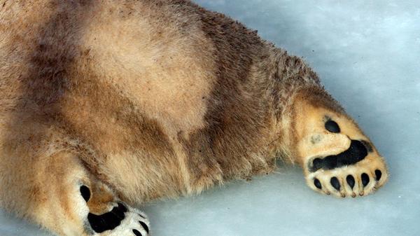 Und dann kam der Winter 2012 - seit 133 Jahren war es in Franken nicht mehr so kalt.
