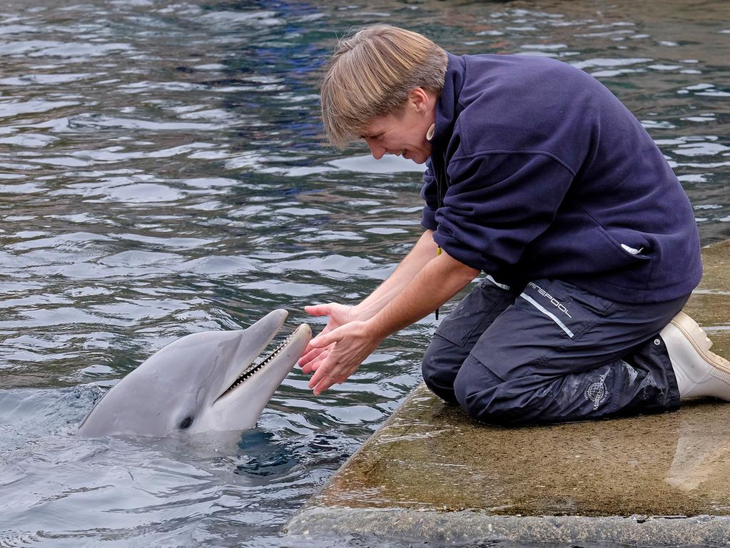 Folienballon In Vielen Farben Und Formen Misterparty Kaufen