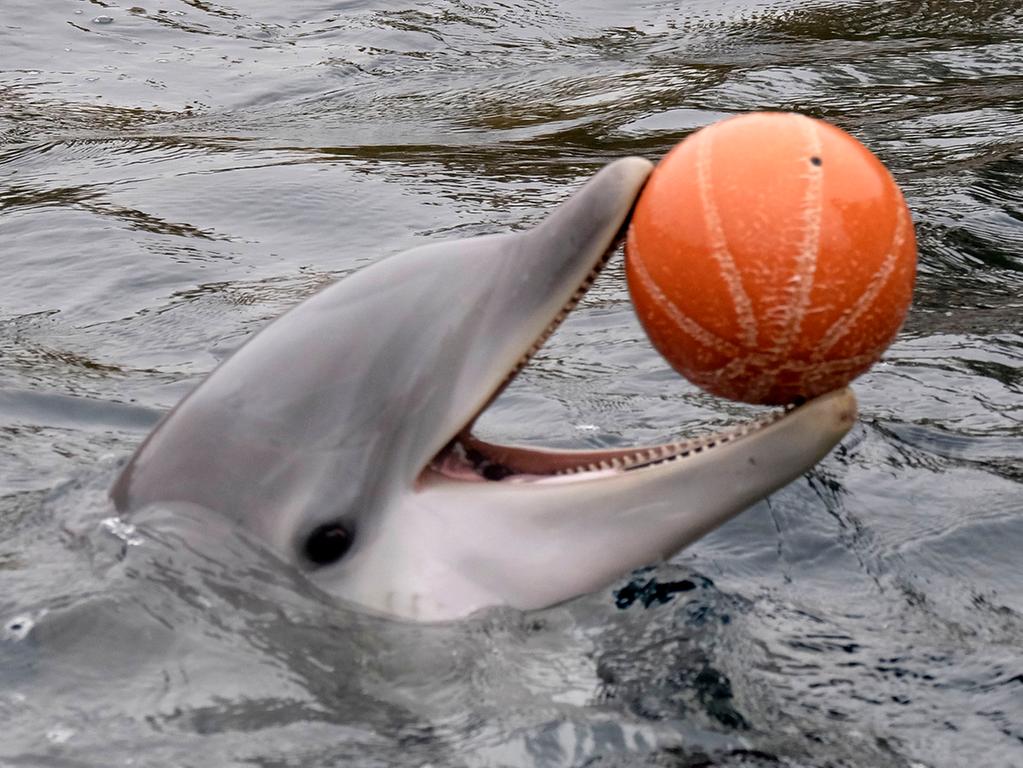 Die 89 Besten Bilder Zu Geburtstag Birthday In 2020 Geburtstag