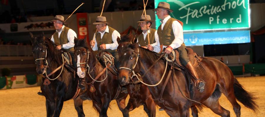"Faszination Pferd": Edle Rösser bei den Top Gala Shows