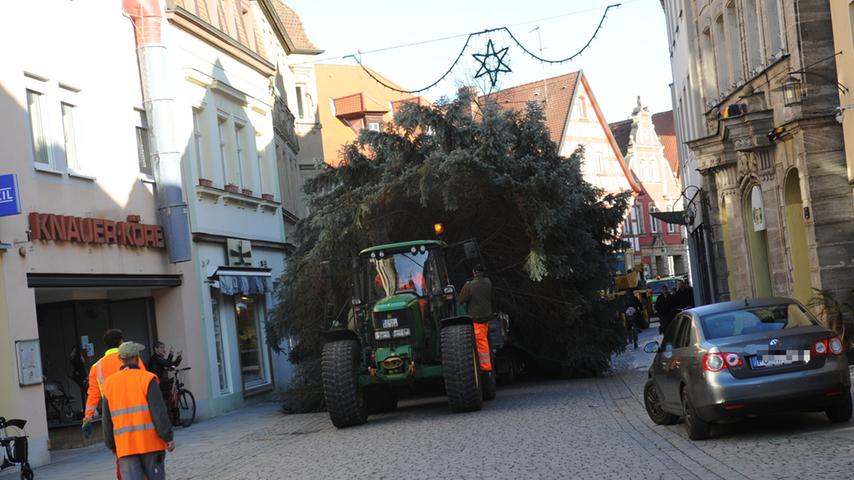 Forchheim: Der Weihnachtsbaum ist da