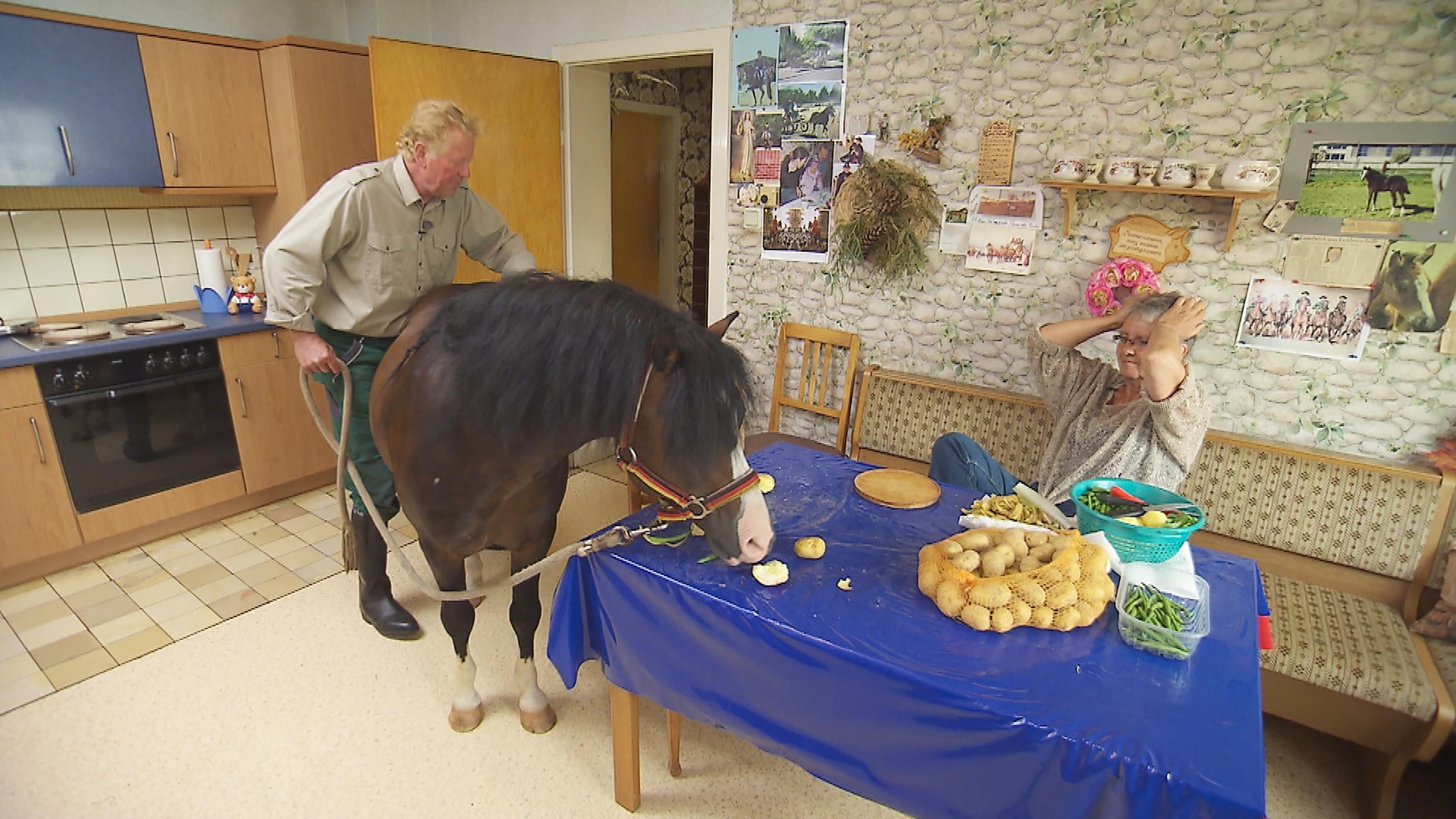 Bauer Sucht Frau Gregor Lasst Den Hengst In Die Kuche Region Nordbayern De