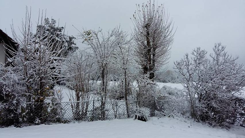 Der nächtliche Schneefall verwandelte auch die Gärten in Altdorf in eine wunderschöne Winterlandschaft.