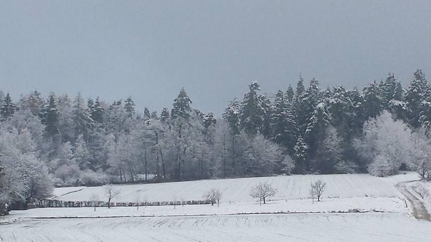In Schnaittach sieht es nach dem ersten Schneefall so aus...