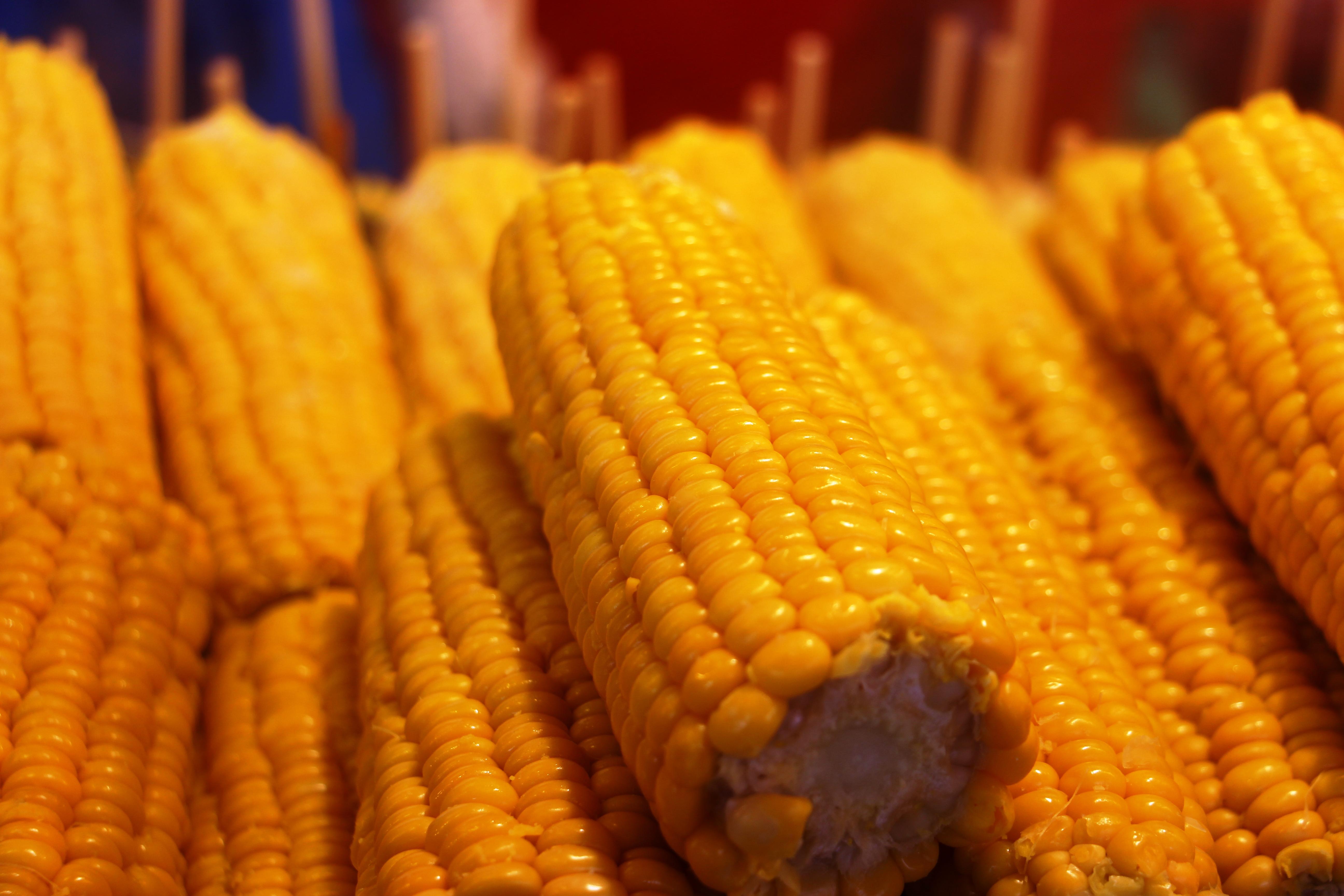 Bude Heimerl / Hartnagel 