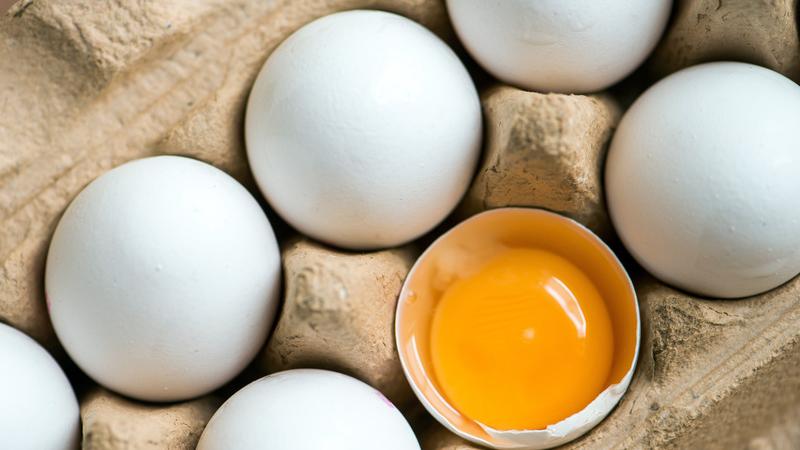 Bayern-Ei hatte nach derzeitigem Ermittlungsstand mehrfach mit Salmonellen verseuchte Eier verkauft.