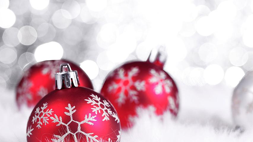 Rehkeule trifft Garnelenschwänze: Das etwas andere Weihnachtsmenü