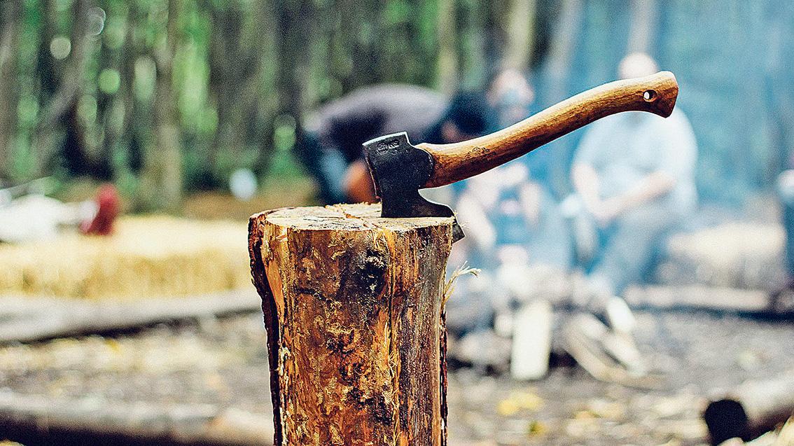 Waldbesitzer müssen eigenes Brennholz bald versteuern Waldbesitzer müssen eigenes Brennholz bald versteuern