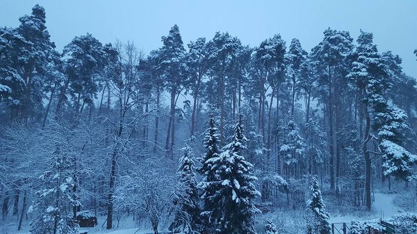 Weiße Pracht: Die schönsten Winterbilder der nordbayern.de-User