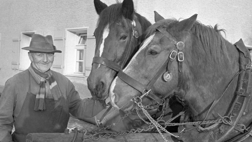 Wohl einer der originellsten und unbekanntesten Vereine unserer Stadt dürfte der Pferdeschaden-Hilfsverein Nürnberg und Umgebung e. V. gewesen sein. Hier geht es zum Artikel vom 7. Januar 1966: Die Roß-Versicherung