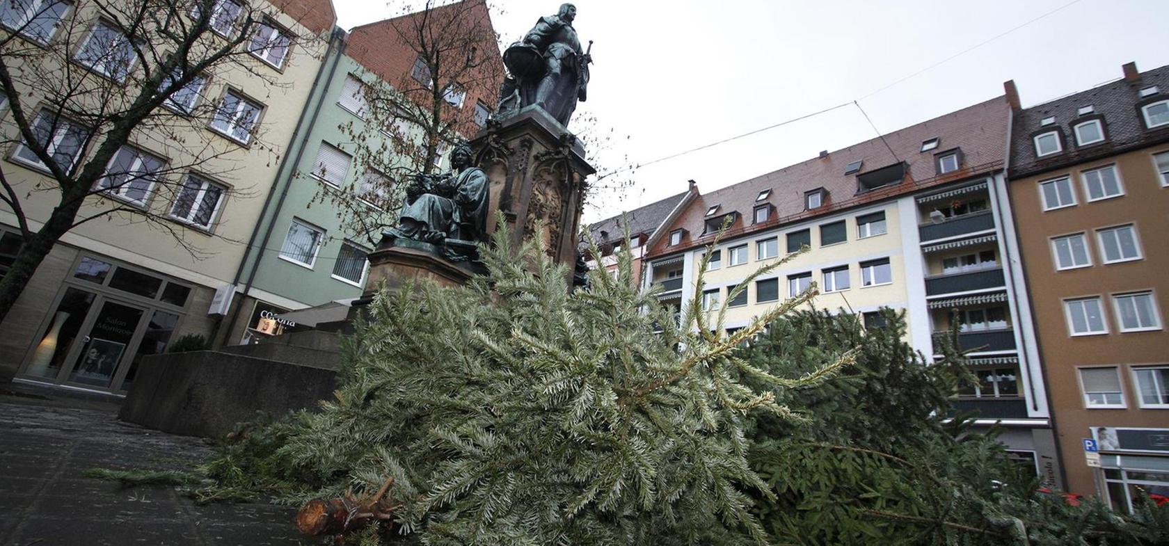 Ärger um wild entsorgte Christbäume in Nürnberg