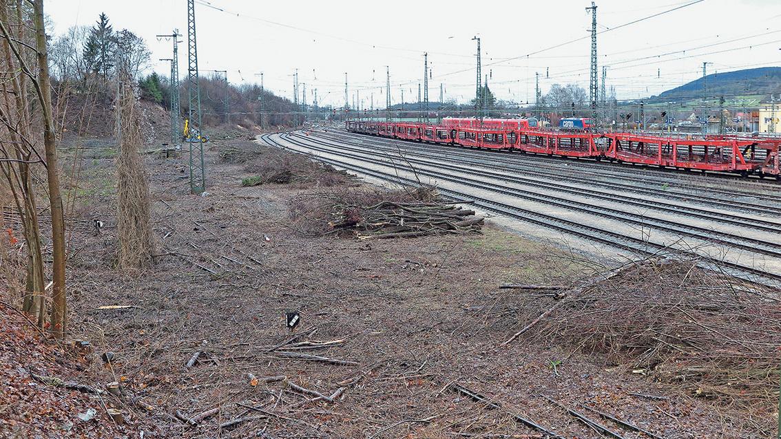 Platz für Gleise, aber kein Kahlschlag in Treuchtlingen Treuchtlingen