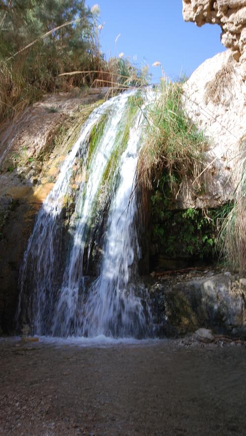 ...die wasserreiche Oase En Gedi mit dem gleichnamigen Naturreservat. Die Flüsse Nakhal David und Nakhal Arugot führen genügend Wasser, um...