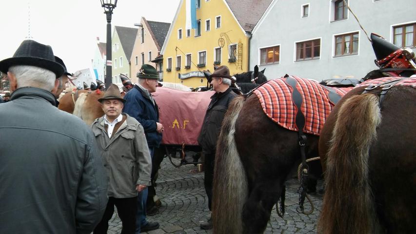 Mehr als 150 Pferde und Gespanne werden auf dem Berchinger Rossmarkt zur Schau gestellt. Auch dieses Jahr werden wieder bis zu 30.000 Besucher erwartet.