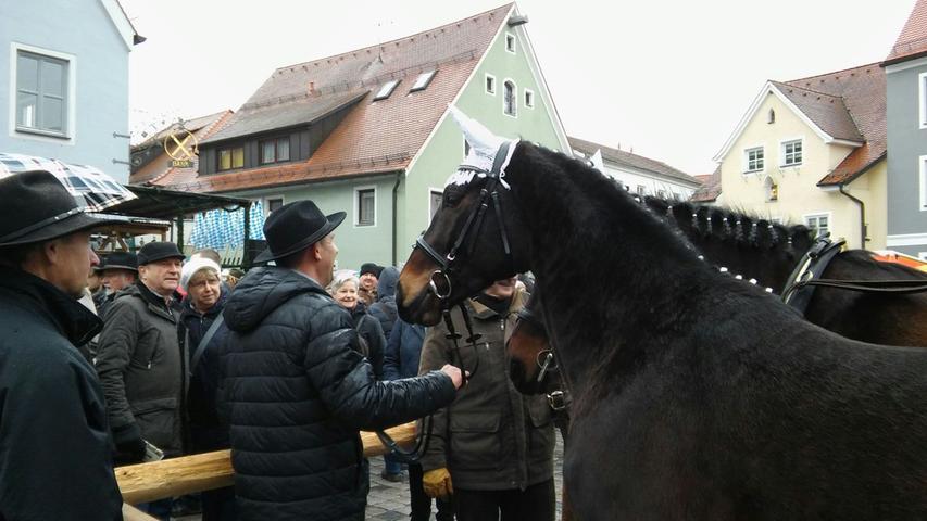 Mehr als 150 Pferde und Gespanne werden auf dem Berchinger Rossmarkt zur Schau gestellt. Auch dieses Jahr werden wieder bis zu 30.000 Besucher erwartet.