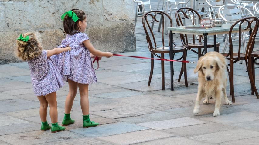 Im Herbst 2012 verbrachte ich einen zweiwöchigen Urlaub in Andalusien. In Córdoba liefen mir am 13.Oktober diese beiden entzückenden Schwestern, die versuchten ihren Hund zu bändigen, vor die Kamera.
 
 Auf den dritten Platz in unserem Voting schaffte es dieser wunderbare Schnappschuss von Ulf Ebener. Die Nutzer gaben dem Bild eine Durchschnitssnote von 6,3.