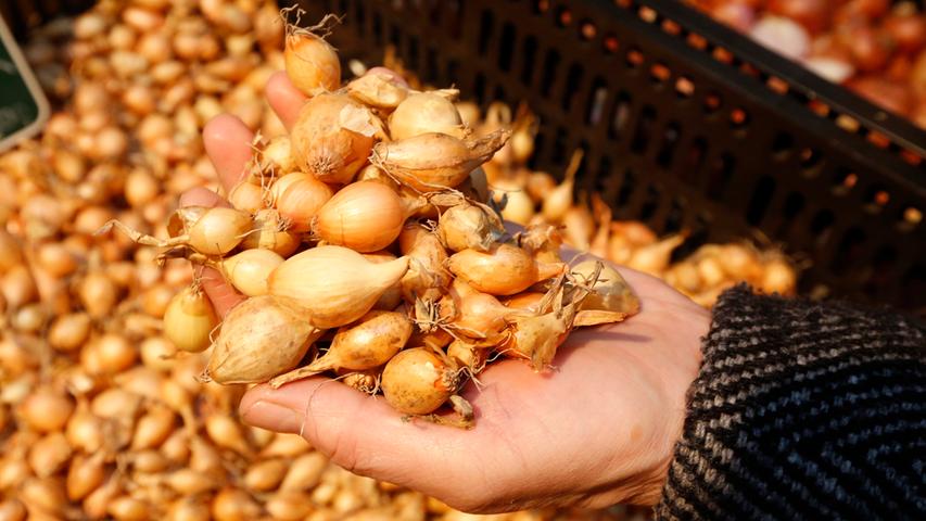 Mögen die Samen sprießen: Saatgutfestival auf AEG in Nürnberg