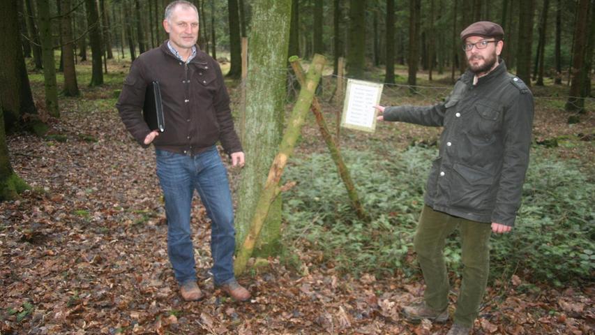 Gegen Rehe haben die jungen Bäume keine Chance