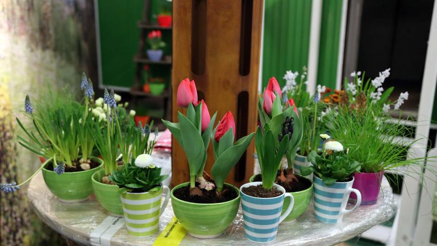 "Alle Tas­sen aus dem Schrank" hat Beatrix Schaffranka für den Osterbrunch geholt und viele Früh­lingspflanzen in Tassen und Töpfe aus Omas Küche gepflanzt.