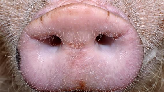 Doc Evas Kochlatein Page 12 Chan 38550077 Rssing Com