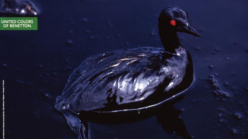 Mit der Zerstörung und Verschmutzung der Umwelt beschäftigt sich die Ausstellung "WEtransFORM" ab 18. März im Neuen Museum. Zu sehen sein wird auch "Der Ölvogel". Benetton nutzte die Fotografie von Steve McCurry aus dem Jahr 1992 für ein Imageposter.