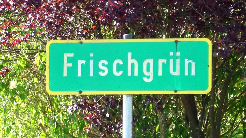 Auf dem Gebiet der Gemeinde Seubersdorf liegt ein echtes Kuriosum: der Weiler «Frischgrün». Kurios ist nicht nur der Name und der Umstand, dass das grüne Ortsschild alles andere als frisch aussieht.
 
 Die Ortschaft taucht auf Landkreis-, Radfahr- und Wanderkarten oftmals als «Fischgrün» auf. Das «r» ist wohl irgendwann verloren gegangen, der Fehler wurde dann von anderen Kartographen abgeschrieben.  «Froschgrün» wäre da wesentlich sympathischer gewesen.