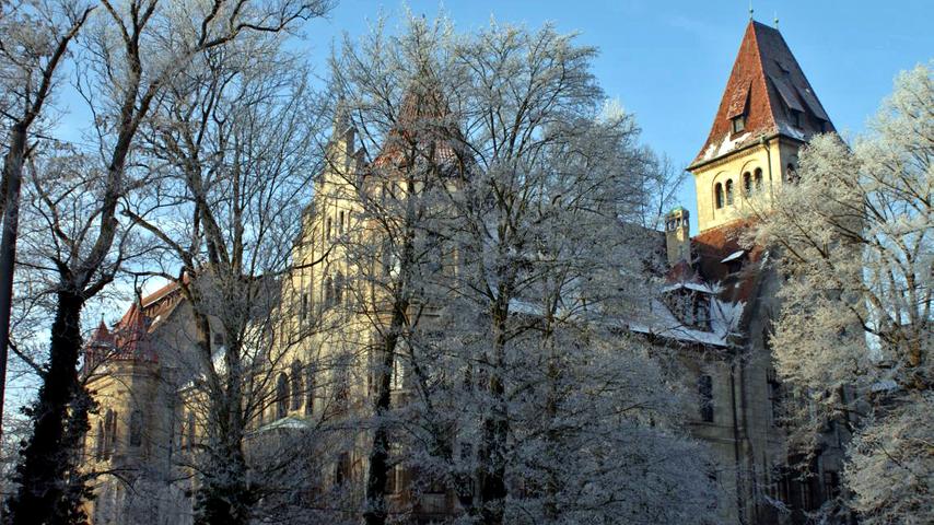 Das Steiner Schloss halb versteckt hinter schneebedeckten Ästen.