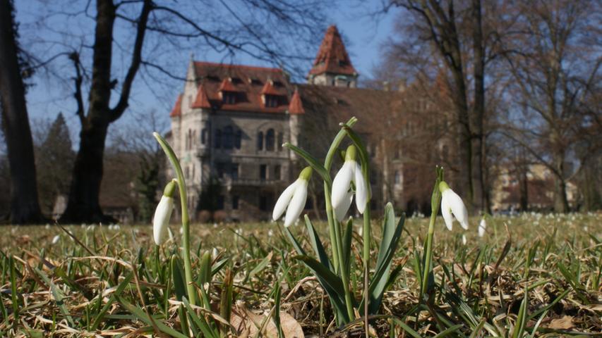 Doch der Frühling lässt nicht lange auf sich warten: Schneeglöckchen im März vor dem Steiner Schloss.