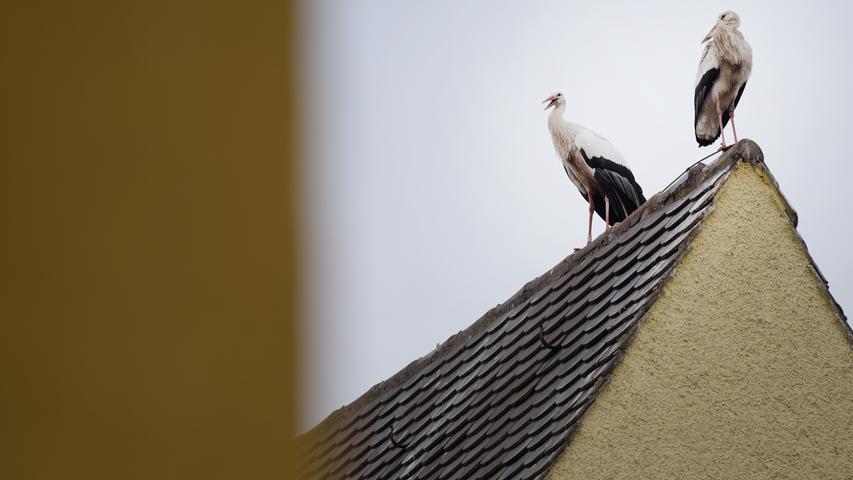 Vom Dach gegenüber beobachtet das Paar die Arbeiten.